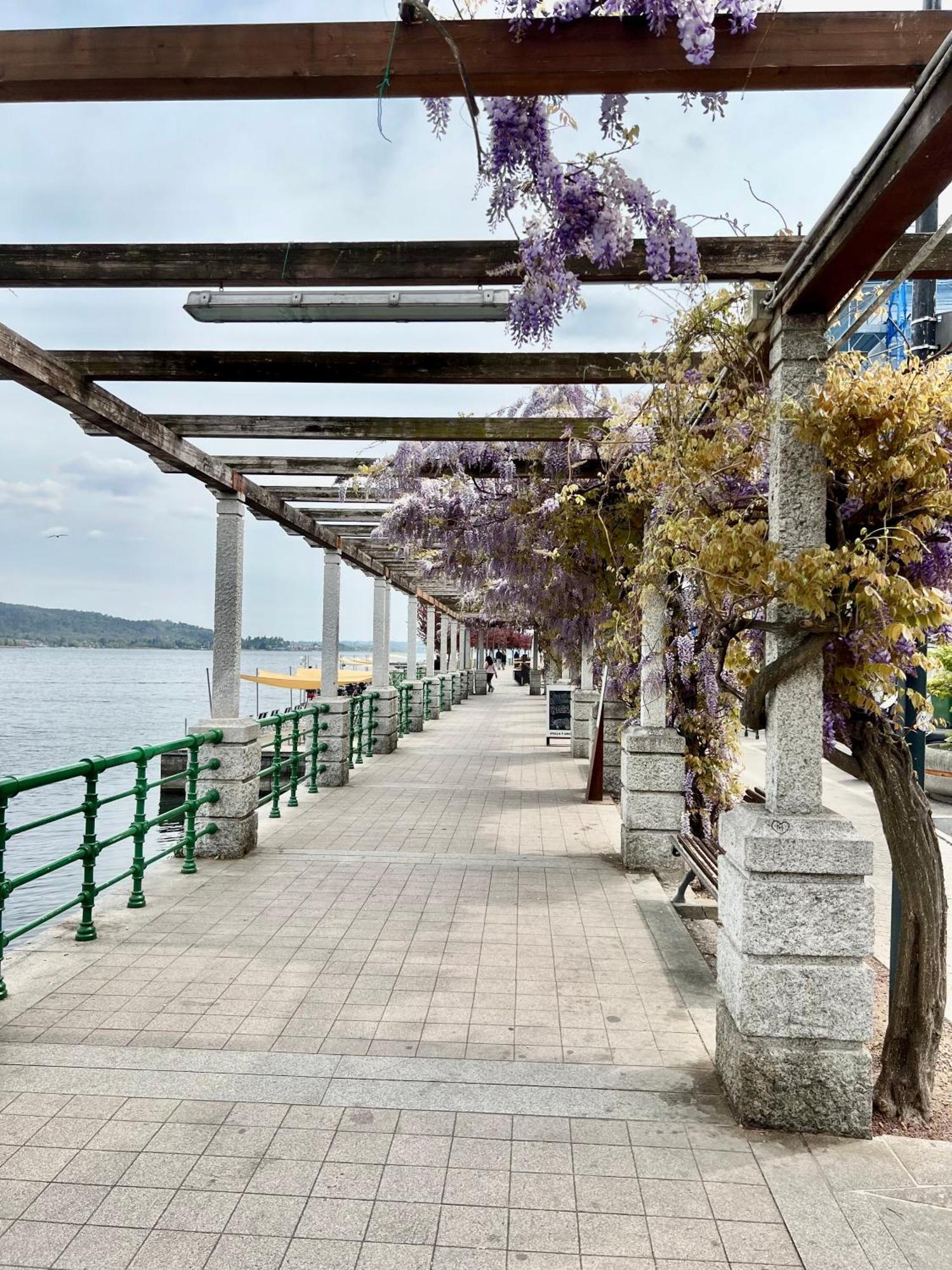 Casa Sul Lago أرونا المظهر الخارجي الصورة